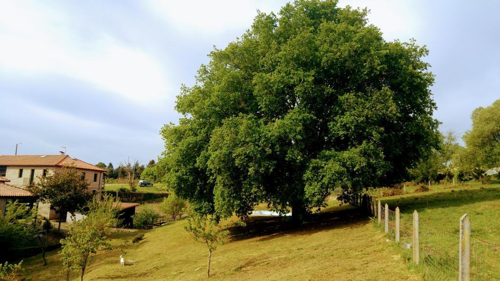 Caserio De Fontes Nogueira De Ramuin Exterior photo